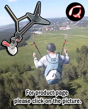 Pilot_GoCAMRunner